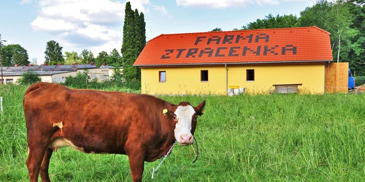 Za zvířátky na farmu Ztracenka: pobyt se snídaní a možnost zkusit si práci na statku