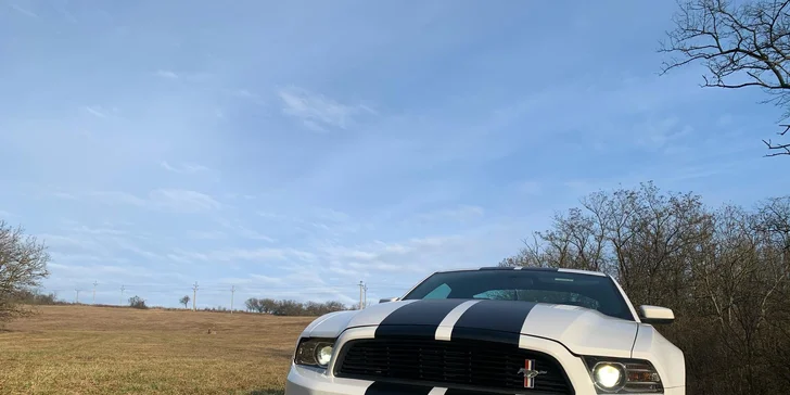 Ford Mustang 5.0 GT nebo Ford Mustang Cabrio: 30 min. až 12 hod. řízení