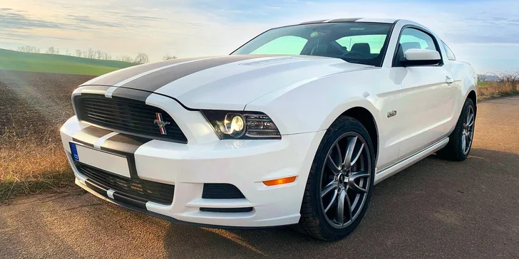 Ford Mustang 5.0 GT nebo Ford Mustang Cabrio: 30 min. až 12 hod. řízení