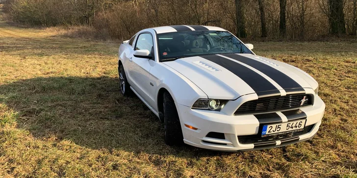Ford Mustang 5.0 GT nebo Ford Mustang Cabrio: 30 min. až 12 hod. řízení