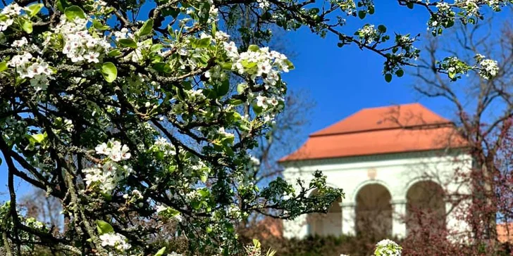 Dovolená u Prachovských skal: výlety po Českém ráji a parádní ubytování až pro 6 osob