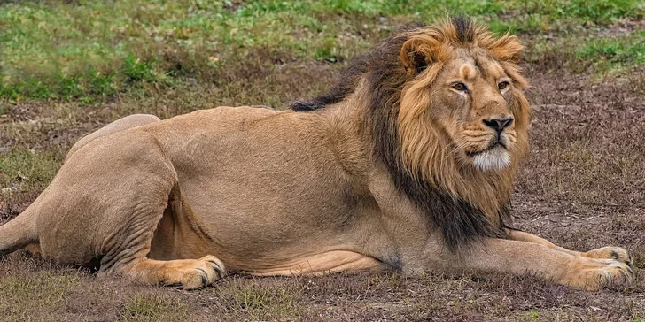 Za den fotografem: fotografické kurzy v pražské zoo, Liberci a Dvoře Králové