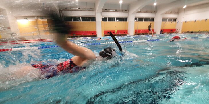 Skupinové plavecké tréninky pro začátečníky i výkonnostní plavce