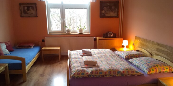 Ostrov u Karlových Varů: dvoulůžkový pokoj či apartmán, snídaně i slevy