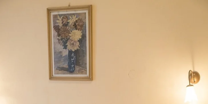 Pobyt v pokoji či apartmánu na zámku Lobeč: snídaně, láhev vína a piknikový koš či prohlídka zámku Stránov