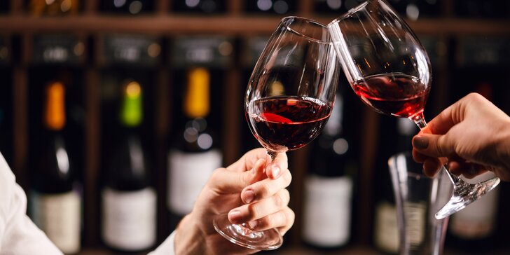 Degustace vín až pro 4 osoby nebo láhev vína podle výběru