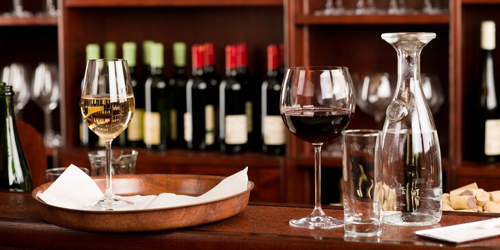 Degustace vín až pro 4 osoby nebo láhev vína podle výběru
