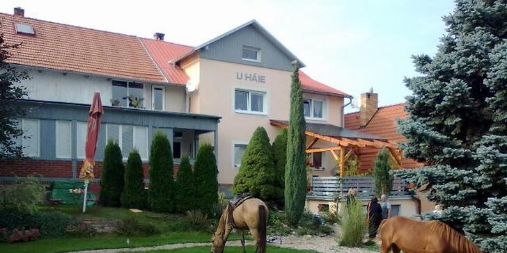Pohoda v penzionu v Litomyšli: snídaně, sauna, jízda na koni a centrum na dosah