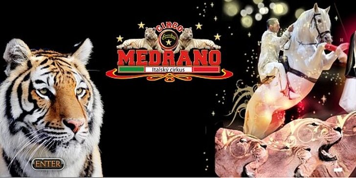 Vstupenka na Italský cirkus Medrano v pátek 31.5.2013