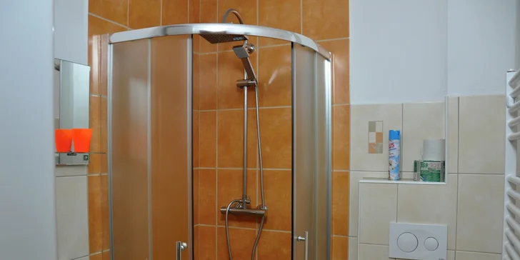 Pár dní v šumavském ráji: pobyt v apartmánu se zahradou nebo v podkrovním pokoji i snídaně