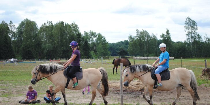 Letní příměstský tábor u koní i s ježděním pro začátečníky i pokročilé