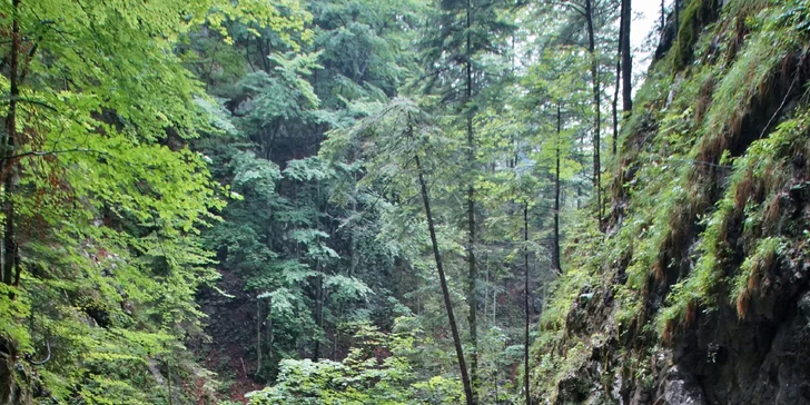 Rakouské Totes Gebirge: poznávací zájezd do hor, 4 noci se snídaní, túry i vyjížďky lanovkou