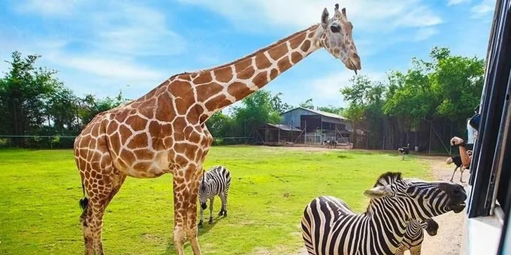 Letní příměstský tábor pro malé objevitele plný výletů