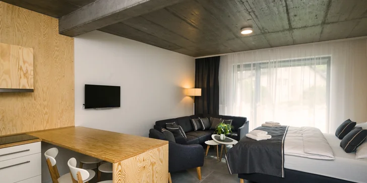 Na dovolenou do hlavního města: moderní apartmán nebo studio se snídaní