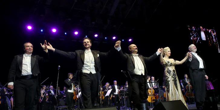 Vstupenka na koncert vážné hudby: Belcanto v opeře a muzikálu