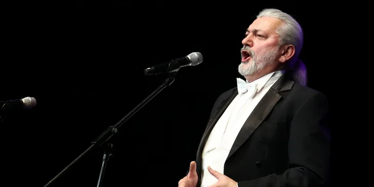 Vstupenka na koncert vážné hudby: Belcanto v opeře a muzikálu