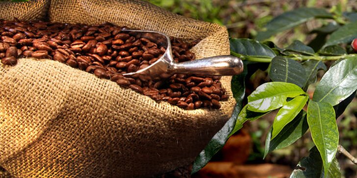 Voucher s 30% slevou na čerstvě praženou kávu