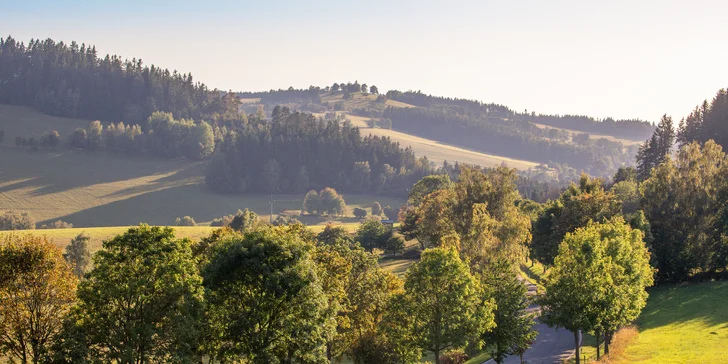 Apartmán nebo celý penzion u Hlinska pro 6 i 12 osob s možností wellness