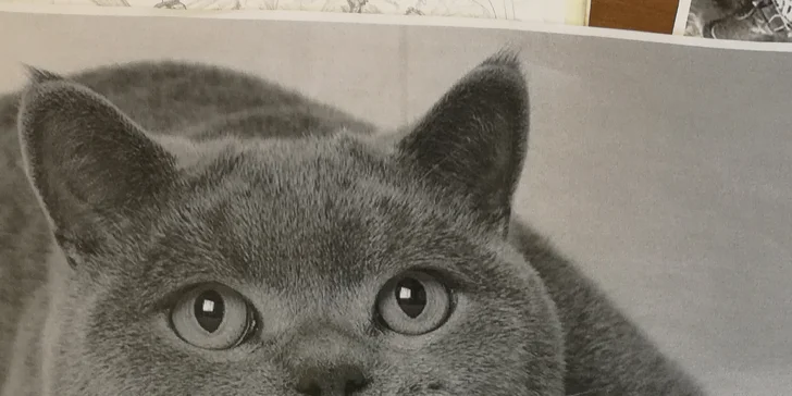 Víkendový kurz kreslení pravou mozkovou hemisférou