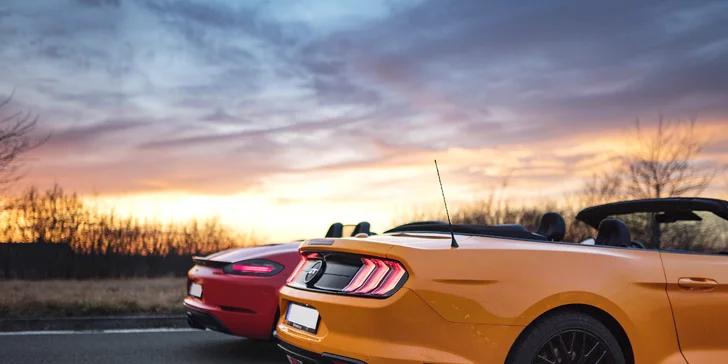 20–120 min. řízení nového Porsche 718 a Mustangu GT 5.0 Cabrio