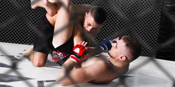 Galavečer MMA v Lodži 21. 3. 2020: vstupenka a doprava busem tam i zpět
