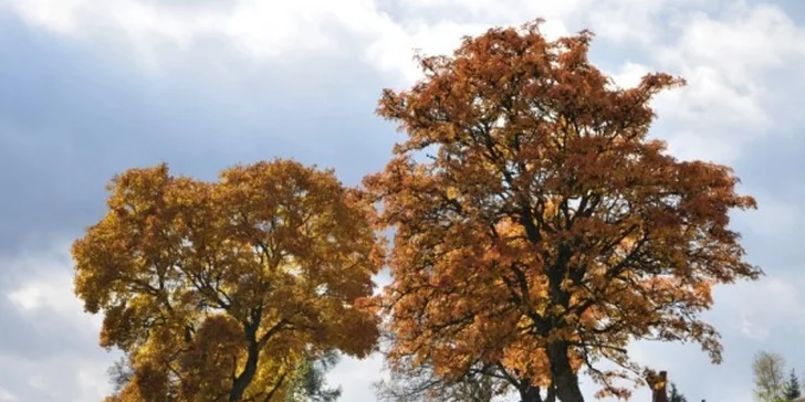 Vydatný odpočinek s wellness v srdci Šumavy