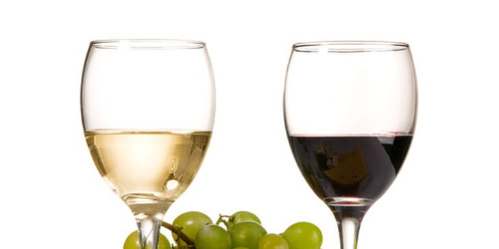 Řízená degustace vín se známými vinaři 