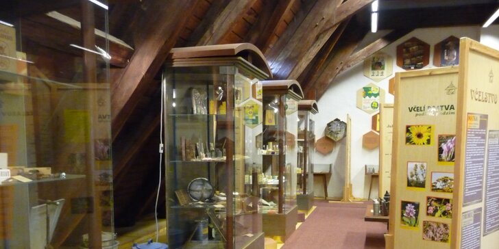 Vstupné do včelařského muzea pro děti i dospělé vč. výroby svíčky a luštění křížovky