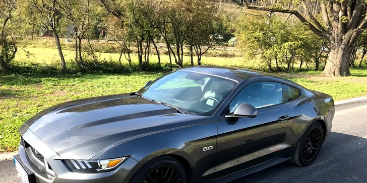Divoké jízdy v amerických legendách: Mustang nebo Challenger na 15, 30, 45 i 60 minut
