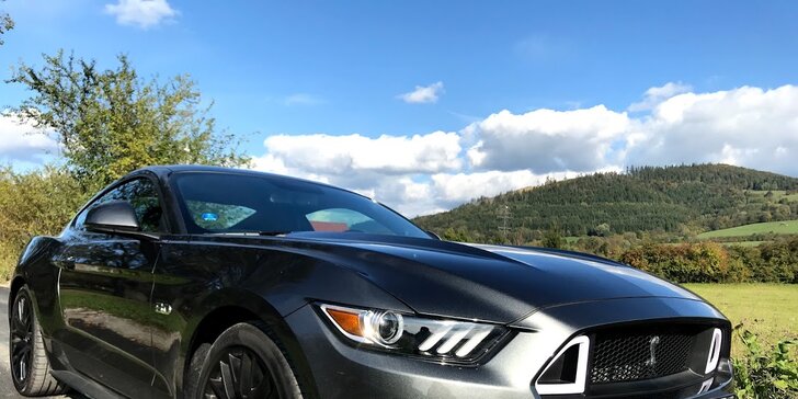 Divoké jízdy v amerických legendách: Mustang nebo Challenger na 15, 30, 45 i 60 minut