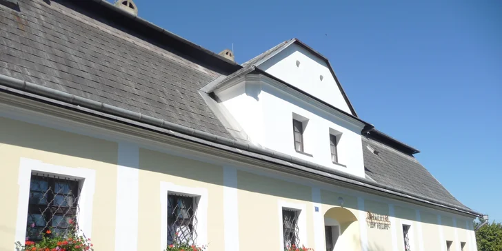 Vstupné do včelařského muzea pro děti i dospělé vč. výroby svíčky a luštění křížovky