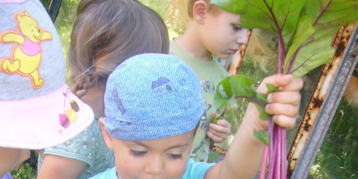 Měsíční docházka do lesní mateřské školky Perníček v Pardubicích