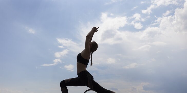 Lekce jógy i cvičení dle výběru: např. Jóga ve vzduchu®, Wheel Yoga® i Air Acro®