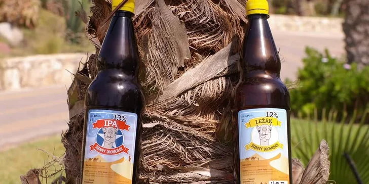Odneste si domů 3 litry piva: 11° světlé, 12° polotmavé a 13° IPA od Žiznivého dromedára