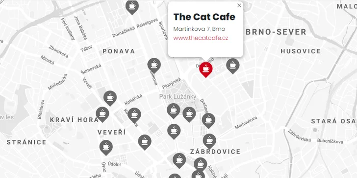 Espresso nebo cappuccino za 20 Kč ve vaší oblíbené kavárně v Praze a Brně s členstvím DejKafe.cz