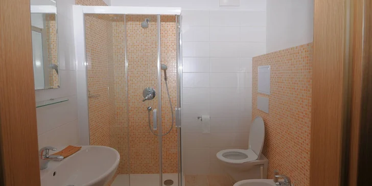 Apartmány a wellness na Šumavě až pro 4 osoby