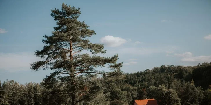 Na samotě u rybníka: 2–7 klidných nocí poblíž Kutné Hory, snídaně, apartmán pro pár i rodinku