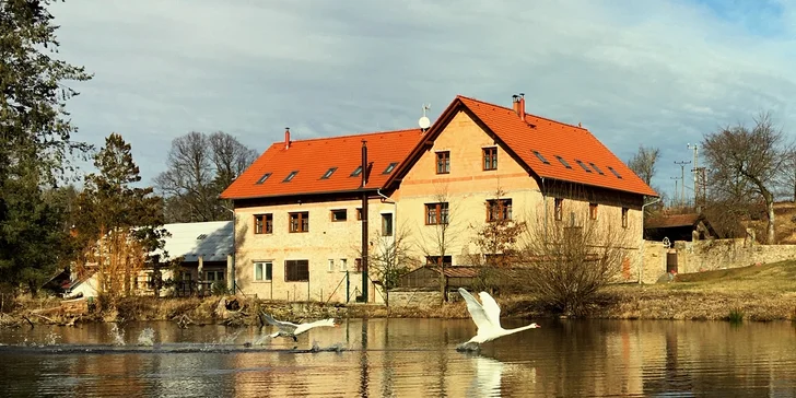 Na samotě u rybníka: 2–7 klidných nocí poblíž Kutné Hory, snídaně, apartmán pro pár i rodinku
