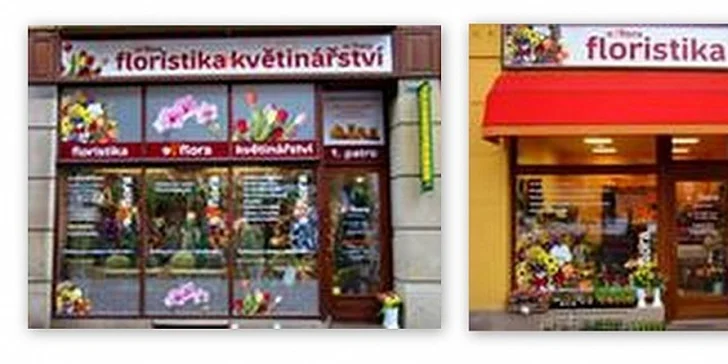 10 krásně kvetoucích barevných lilií