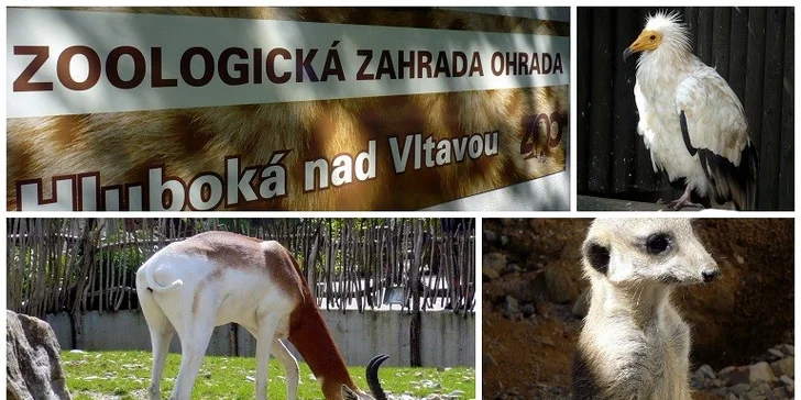 Rodinný víkend plný her v Hluboké nad Vltavou