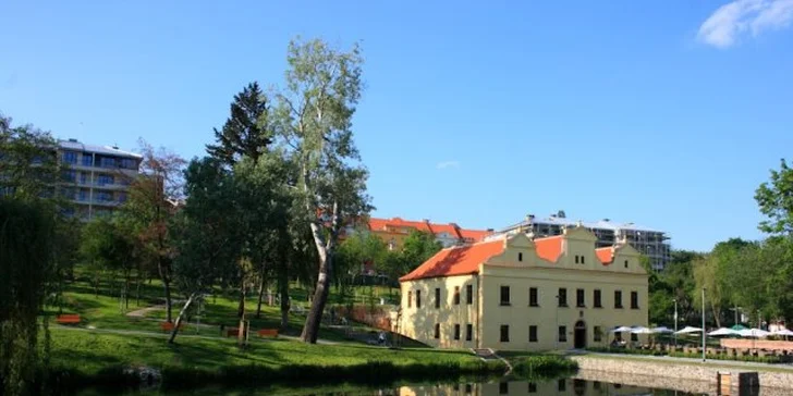 Jihoamerické či labužnické menu pro milovníka krevet i masa