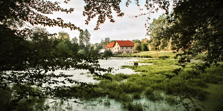 Na samotě u rybníka: 2–7 klidných nocí poblíž Kutné Hory, snídaně, apartmán pro pár i rodinku