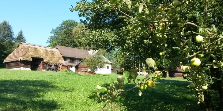 Výlet do skanzenů Veselý Kopec a Hlinecký Betlém: jarmark, posvícení i kulturní program