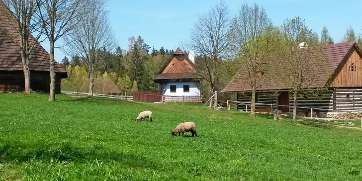 Výlet do skanzenů Veselý Kopec a Hlinecký Betlém: jarmark, posvícení i kulturní program