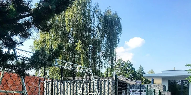 Zacvičte si venku s trenérem: kruhový trénink
