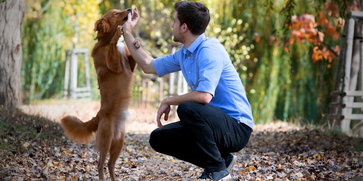 Spokojený život s pejskem: online kurz výchovy psa pozitivními metodami