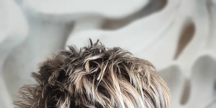 Perfektní střih včetně regenerace a stylingu pro všechny délky vlasů