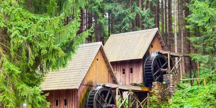 Výlet za přírodou a historií Olomoucka: skanzen zlatokopů a rašeliniště Rejvíz