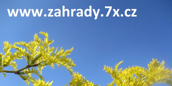 Okolí domu jako ze žurnálu: vizualizace zahrady od zkušených architektů