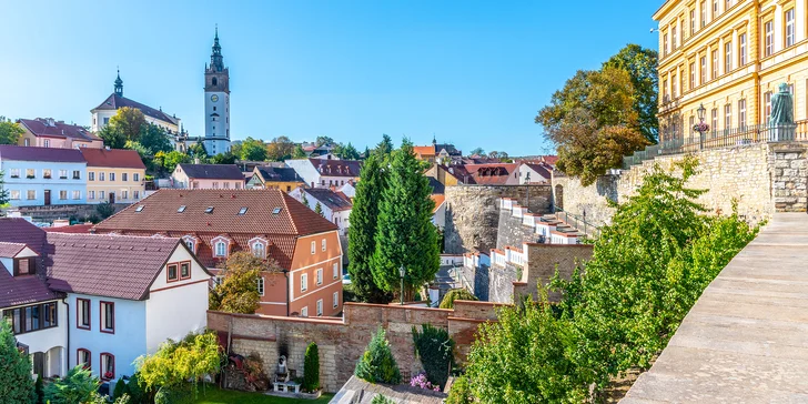 Výlet vlakem na hrad Střekov a do Litoměřic, v ceně plavba lodí po Labi